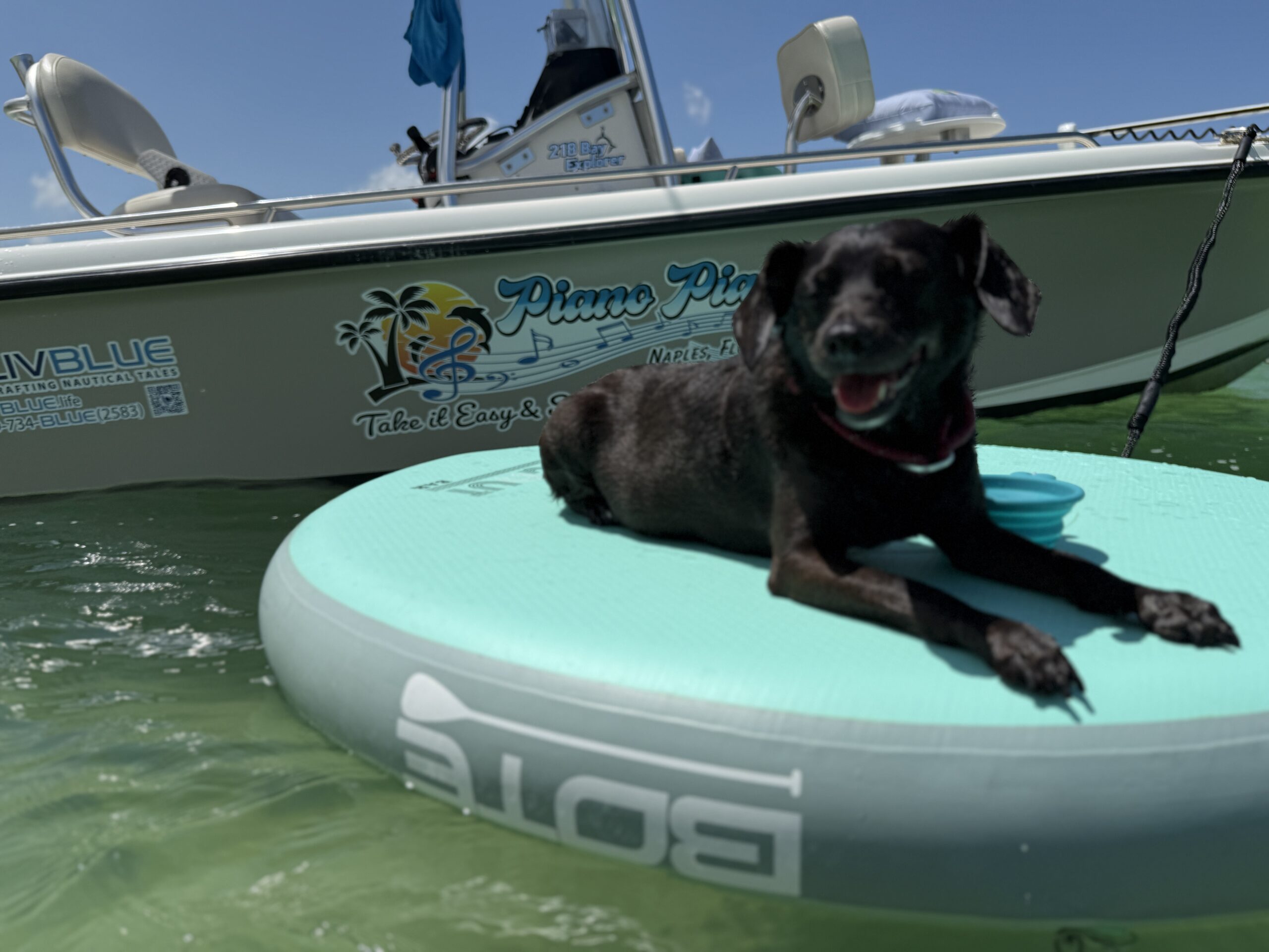 Black dog sitting on a teal float in shallow water with a boat in the background